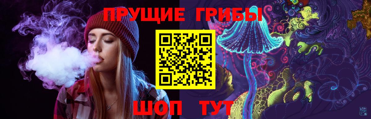 Кимры  купить наркотик  Вход с VPN  Галлюциногенные грибы Magic Shrooms 